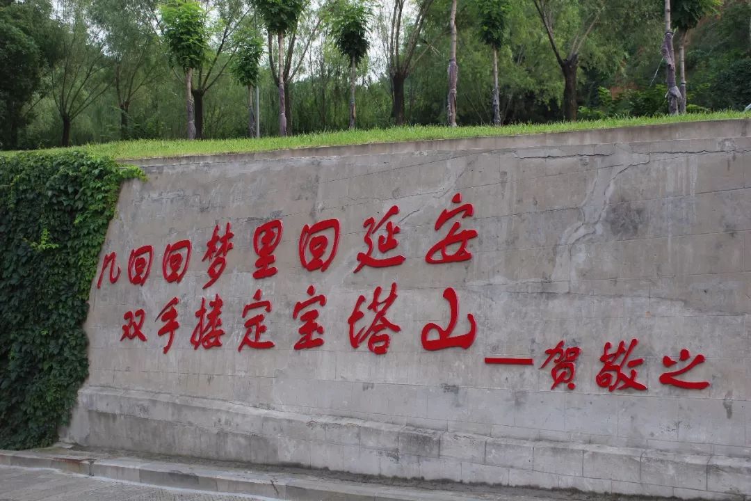 image005.jpg