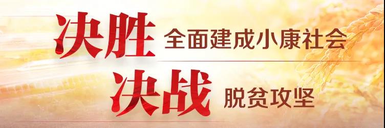 【航院党建】suncitygroup太阳新城全体党员学习观看全国脱贫攻坚总结表彰大会实况