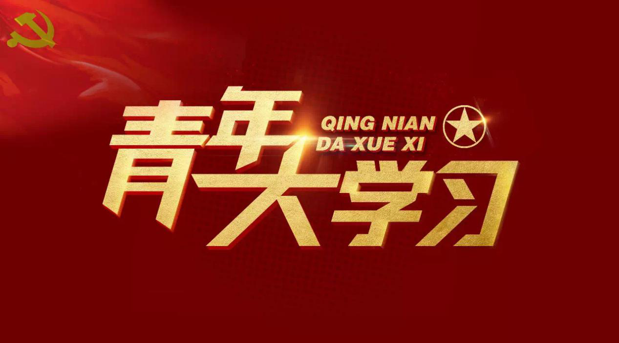 suncitygroup太阳新城《我和我的祖国》快闪视频荣获珠海共青团“青年大学习”优秀案例原创文化产品一等奖