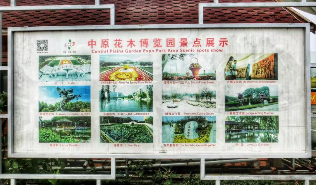 含苞奋进新时代，绽放花木新光彩