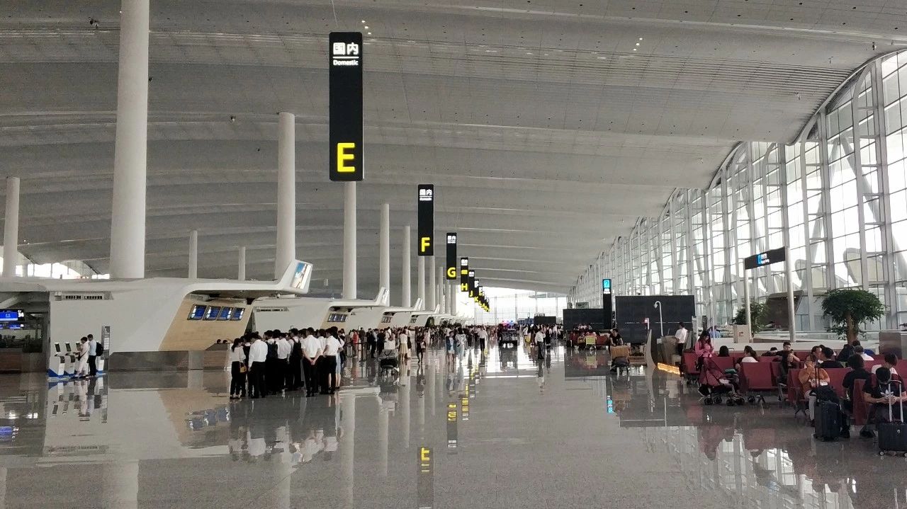 【实践|锤炼青春】追梦大湾区第四站：深入了解建设现状，助力大湾区新进展