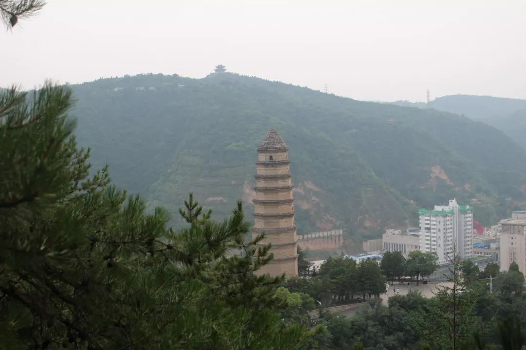 image003.jpg