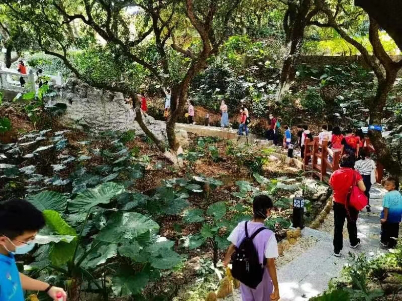领悟红色故事，传承红色基因          ----suncitygroup太阳新城学生第二党支部开展志愿服务